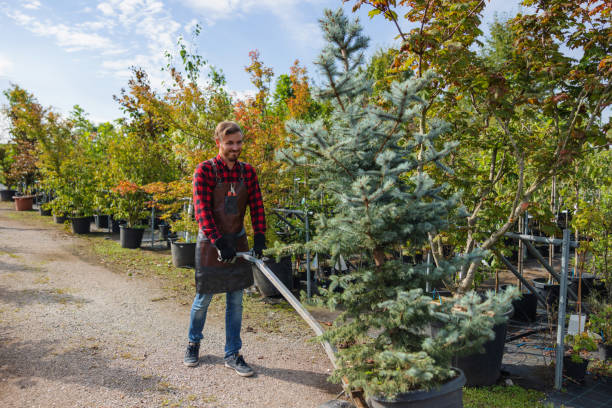 Best Weed Control  in Ionia, MI